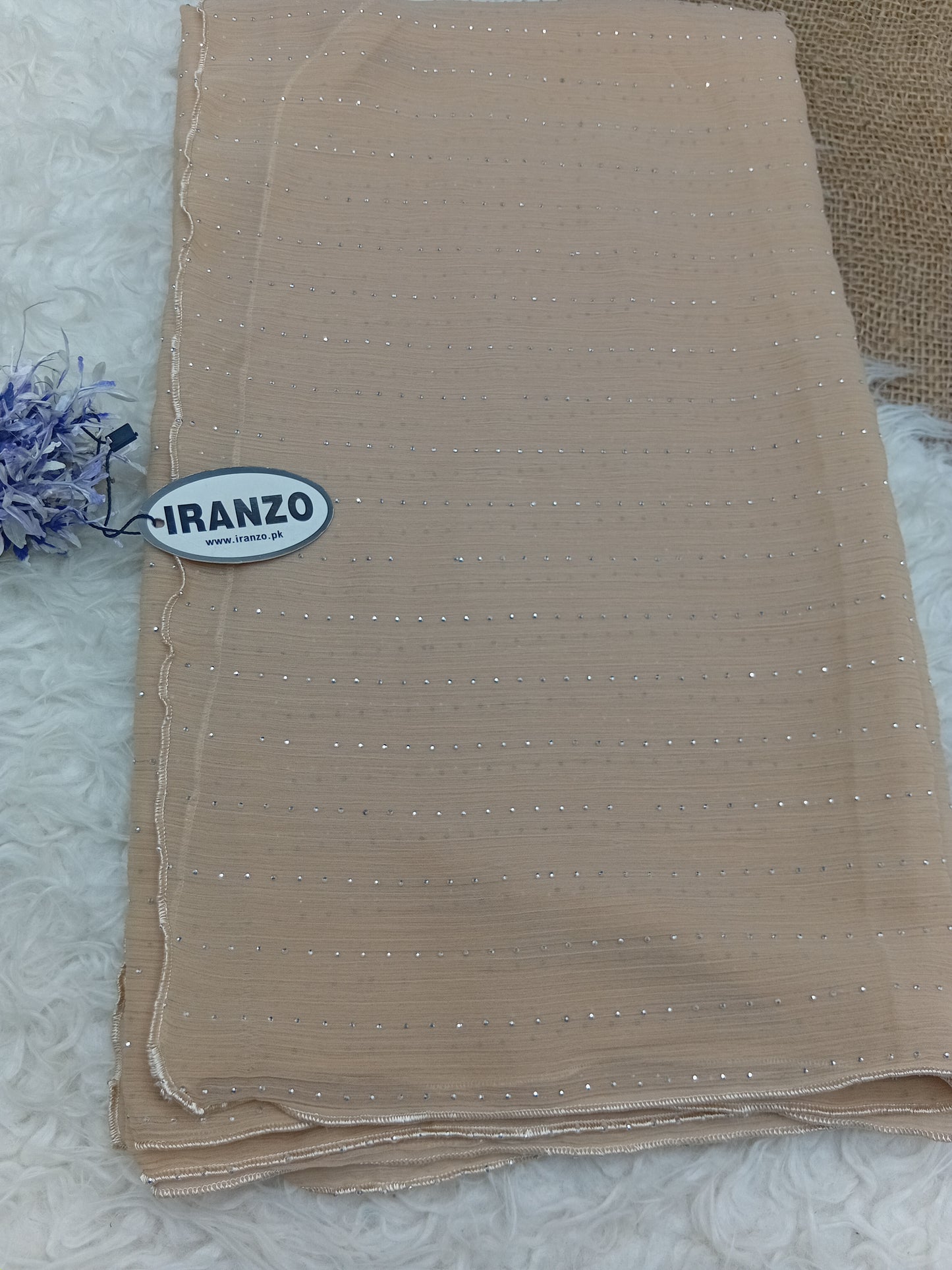 Stone Work Chiffon Dupatta