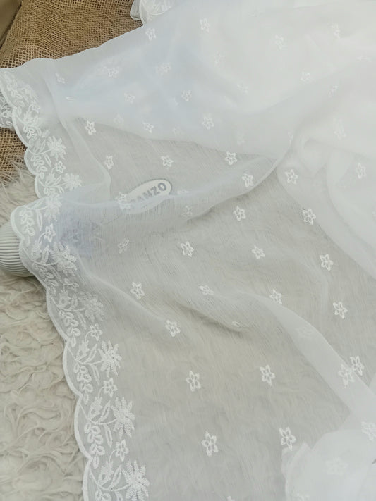 Embroidered Chiffon Dupatta