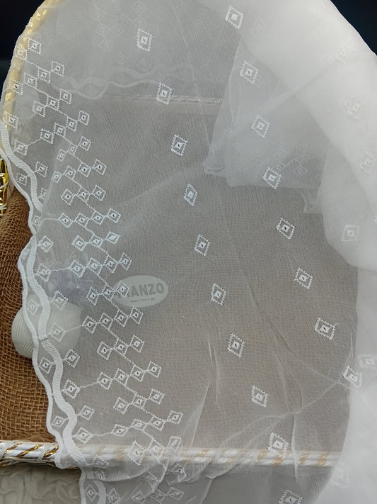 Embroidered Chiffon Dupatta