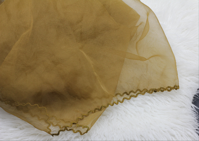 Four-sided cut work organza dupatta