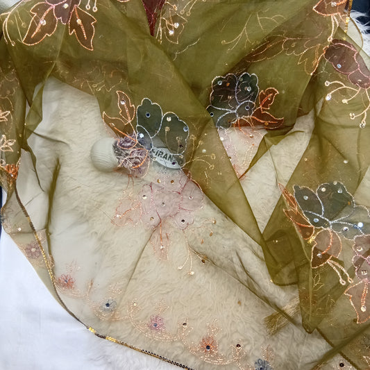 Hand Painted Organza Dupatta with Golden Lace