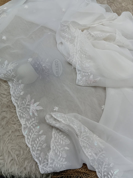 Sequence Embroidered Chiffon Dupatta