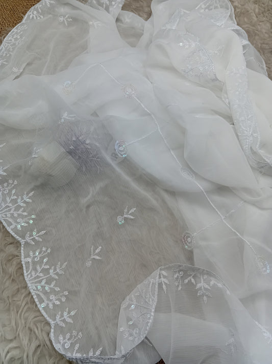 Sequence Embroidered Chiffon Dupatta