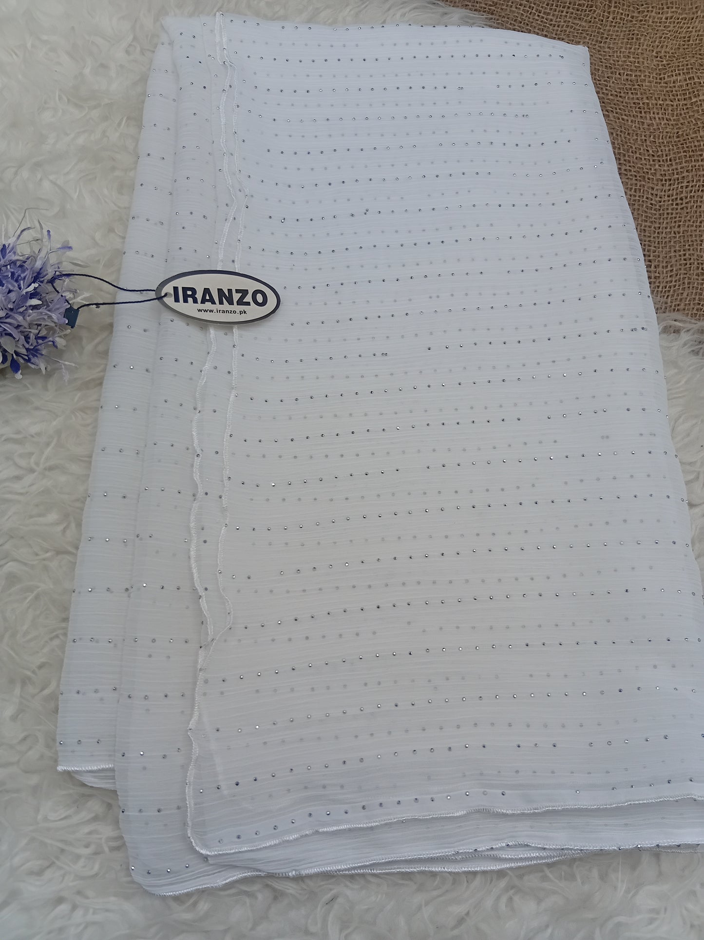 Stone Work Chiffon Dupatta